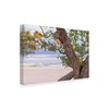 Trademark Fine Art Njr Photos 'Mossy Beach' Canvas Art, 12x19 ALI43869-C1219GG